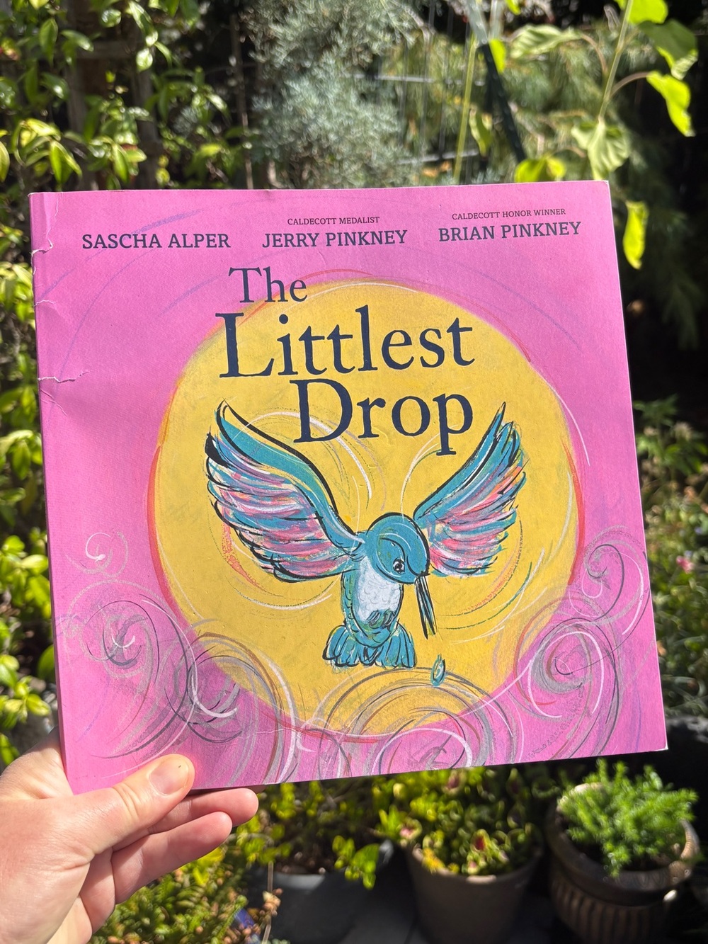 The Littlest Drop book